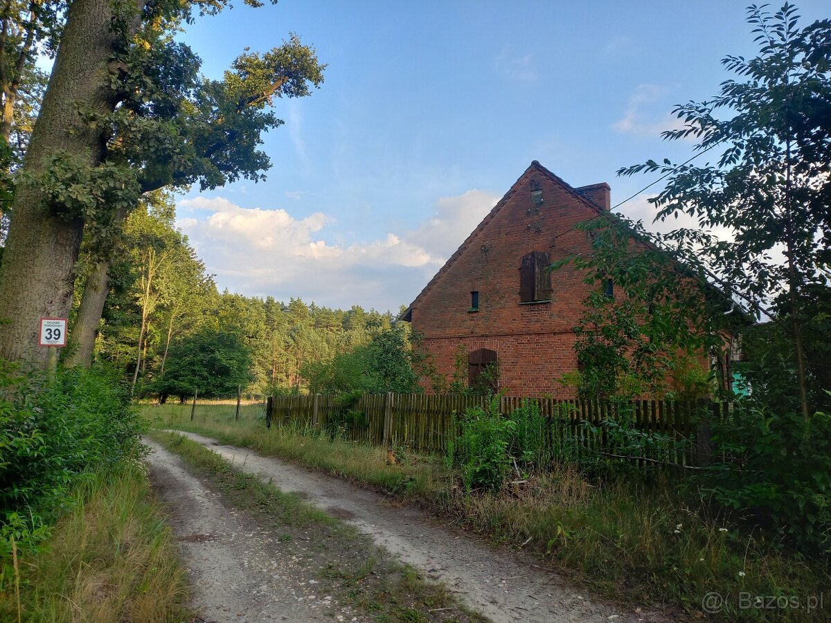 Siedlisko z dużą działką, pod hodowlę koni, psów..