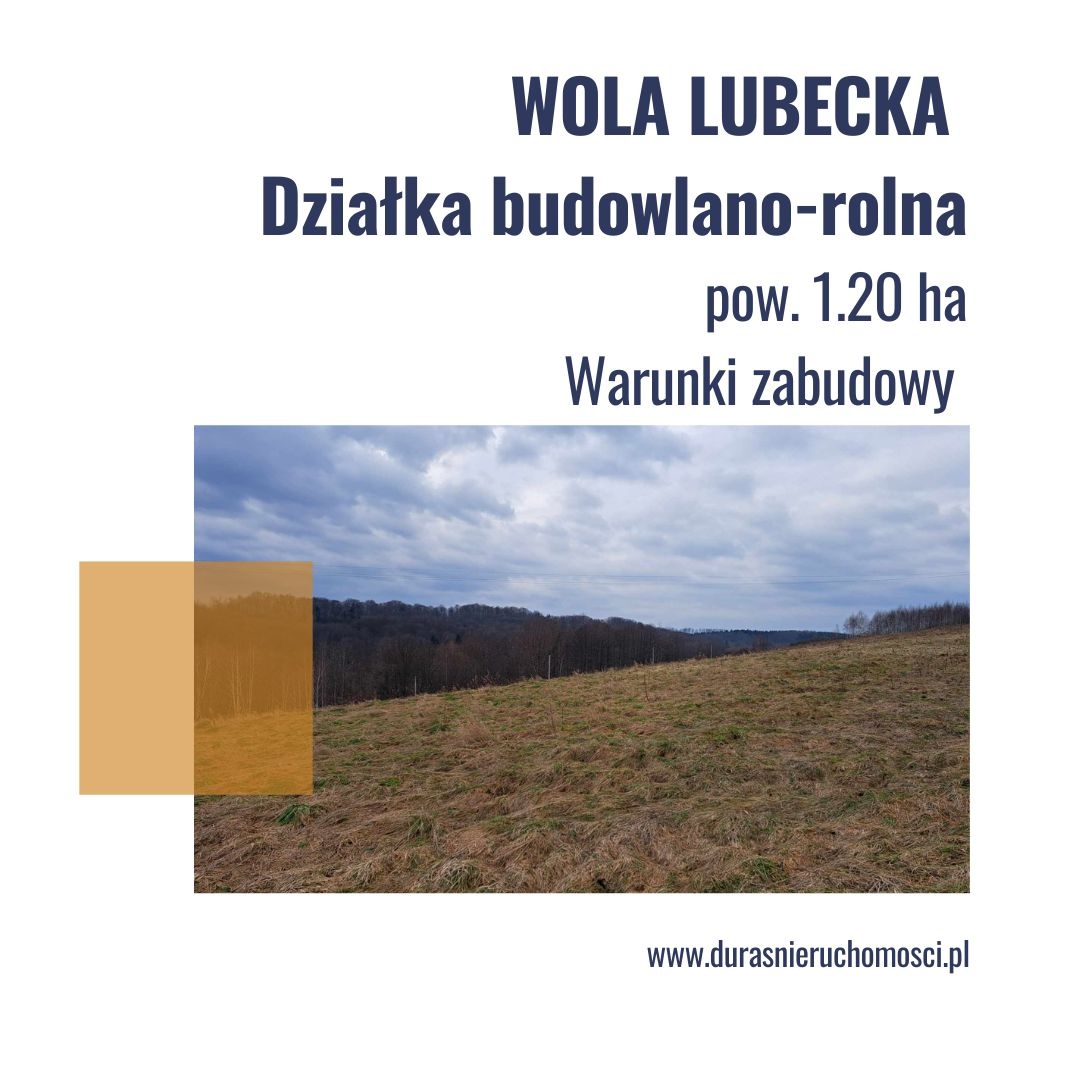 Wola Lubecka działka budowlano-rolna 1,20 ha , WZ