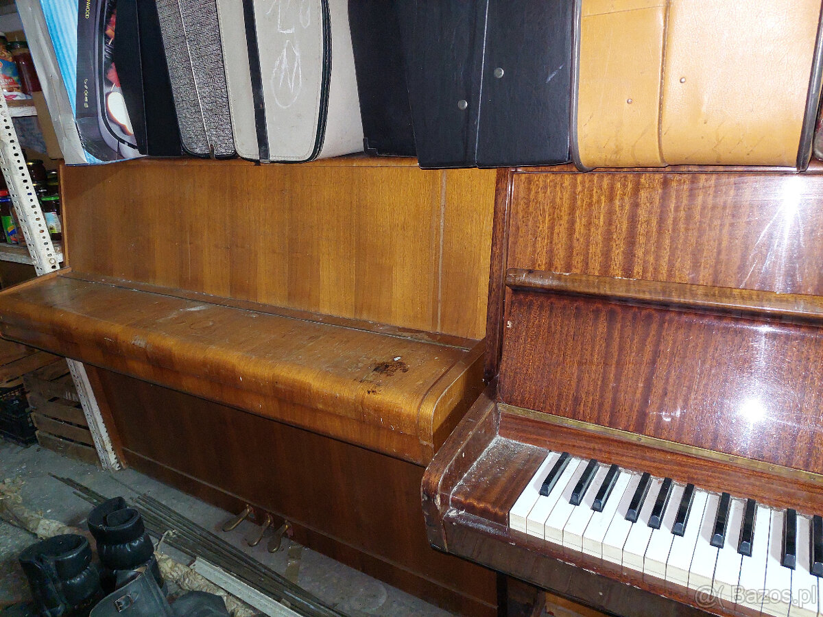 pianina