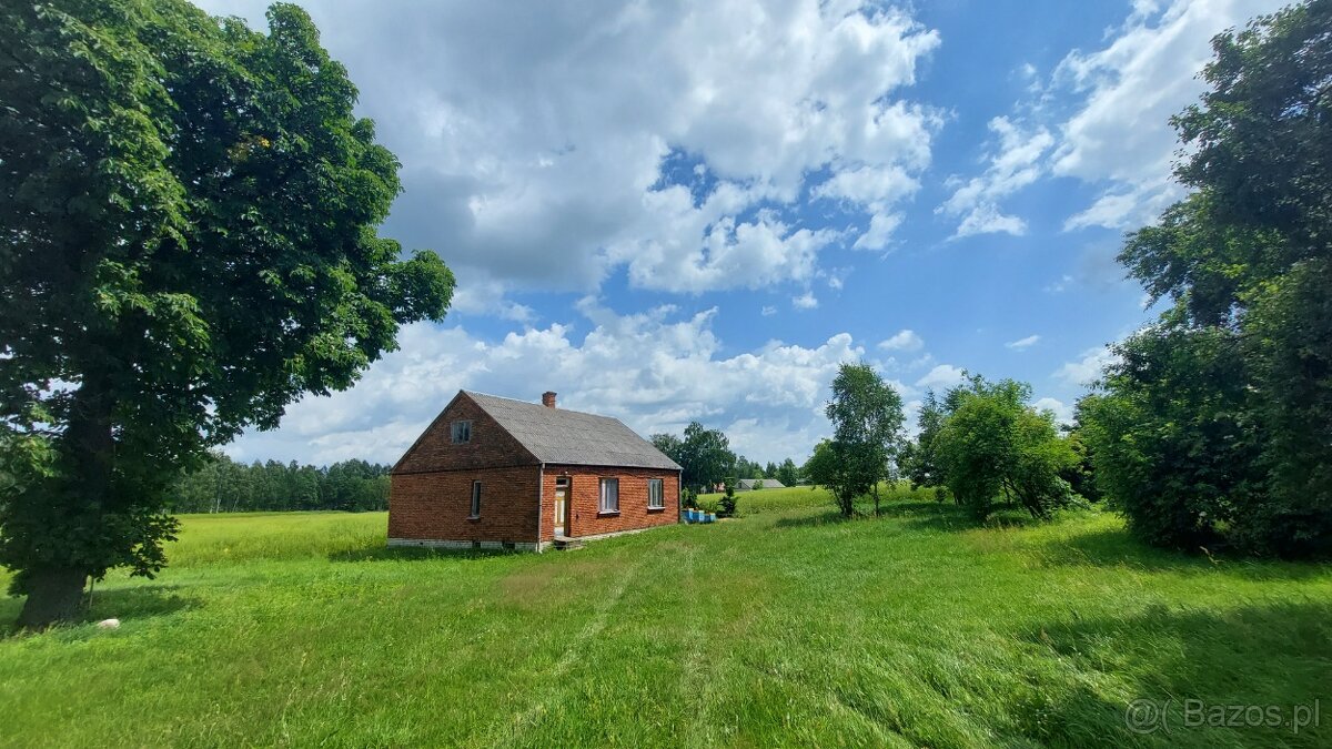 Dom 90 m2, działka 20 arów, woj. Lubelskie