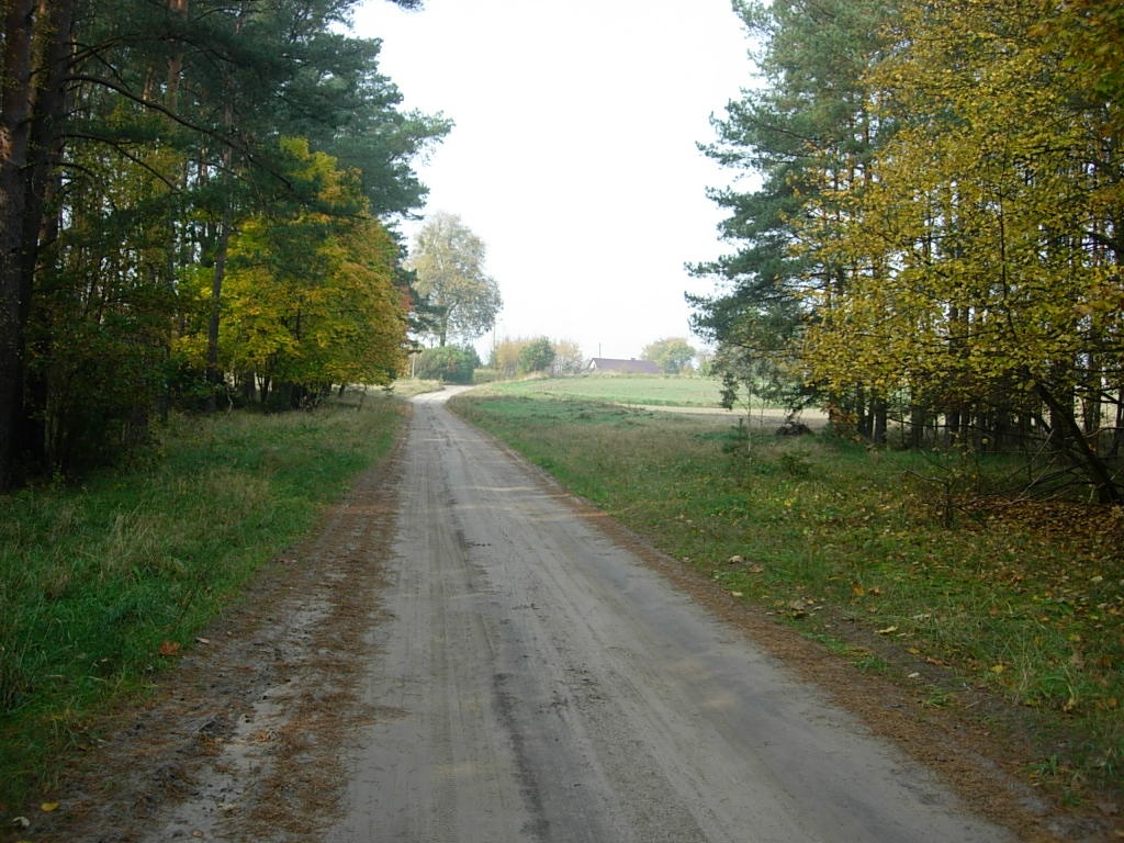 BORY TUCHOLSKIE  DZIAŁKA  2 x 2300m Z  WZ  -  INWESTYCJA