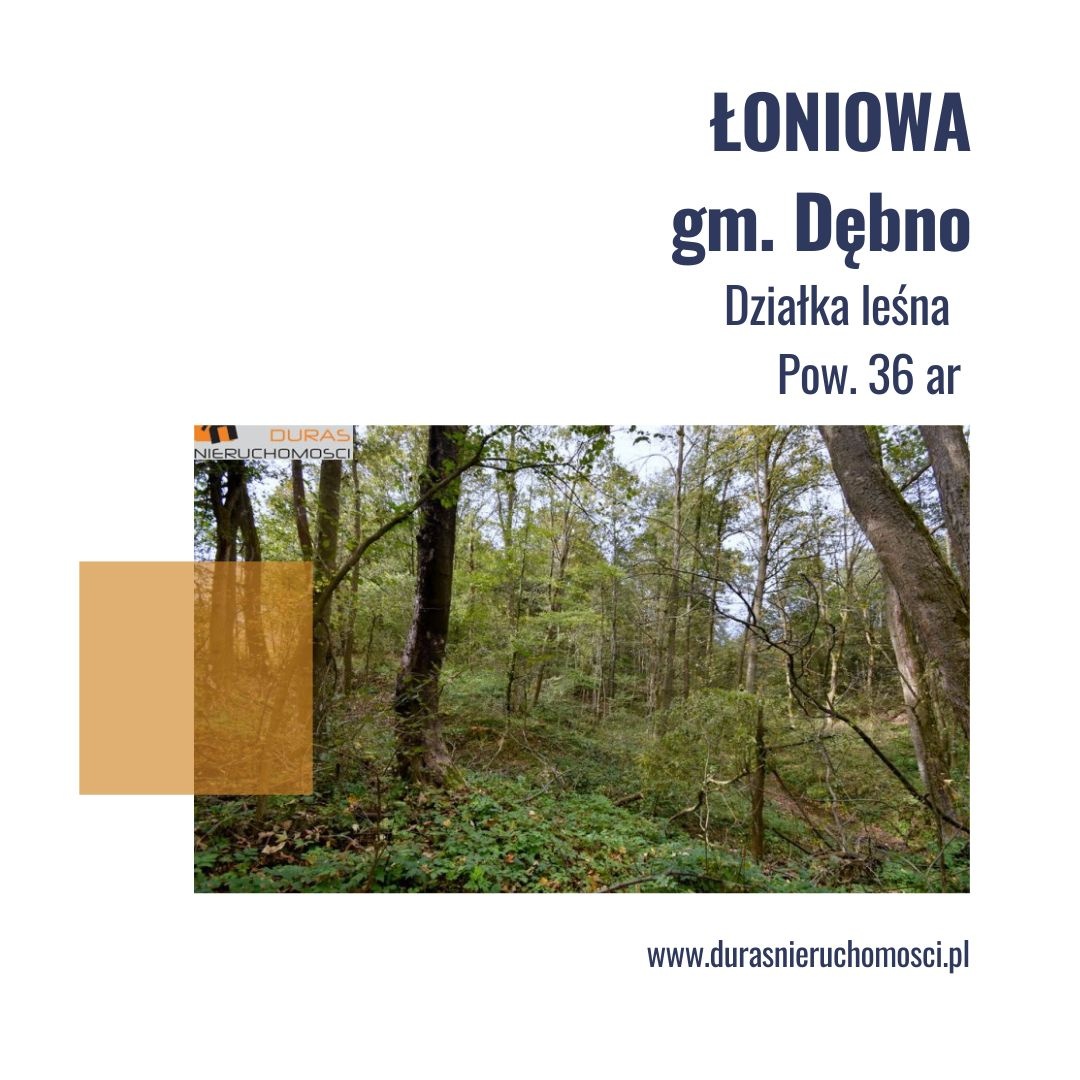 Łoniowa gm. Dębno działka leśna 36 ar