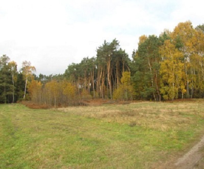 Działka budowlana 4200 m2, Zbiersk