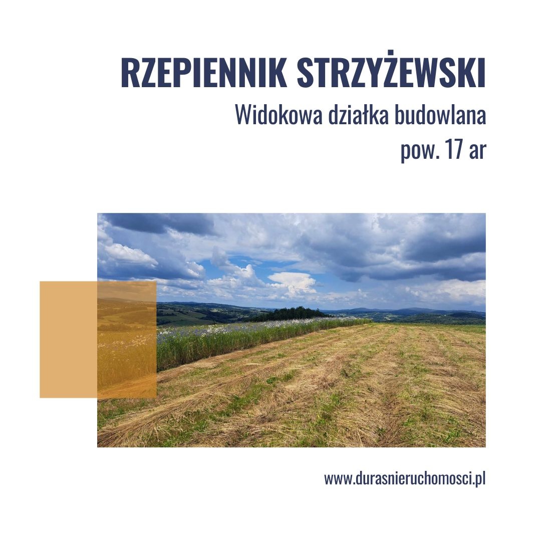 Rzepiennik Strzyżewski działka budowlana 17 ar