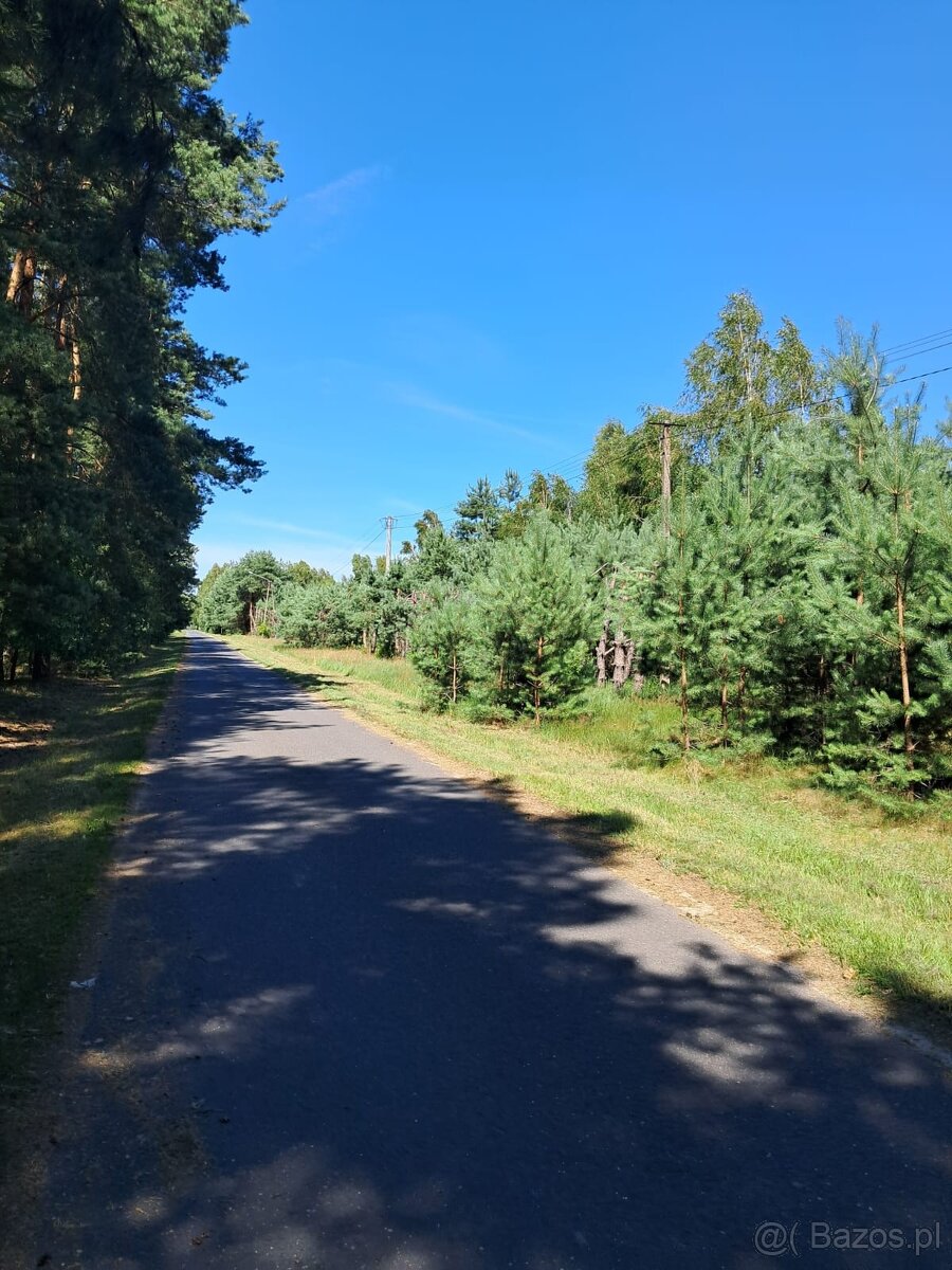 Działka bud.o pow.1266m2, Prażuchy Nowe, ATRAKCYJNA CENA