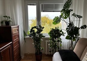 3 pokoje, 48m2, balkon, umeblowane, III piętro, Os. Asnyka - 10