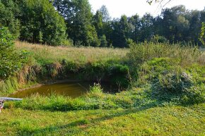 Dwie działki budowlane. Razem, osobno. Łącznie 2 ha. - 10