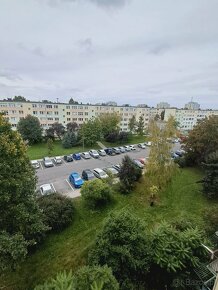 2 pokojowe mieszkanie, 32m2, IV piętro, Os. Asnyka - 11