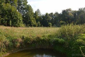 Dwie działki budowlane. Razem, osobno. Łącznie 2 ha. - 11