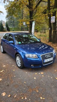 Audi A3 8P - 12