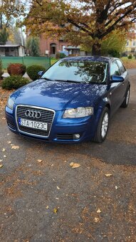 Audi A3 8P - 13