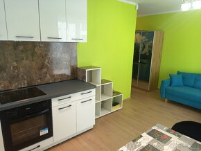 Nowy Luxusowy Apartament nad jeziorem Żywiec - 14