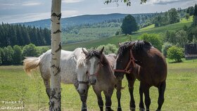 Noclegi-Wczasy w villasol obok Polanicy-Zdroju-SUDETY - 16