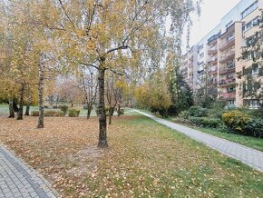 3 pokoje, 62.50m2, 4 piętro, winda, balkon, os.Dobrzec - 16