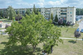 Mieszkanie na Osiedlu Zielonym w Tarnowie - 16