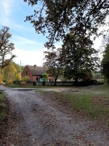 Siedlisko z dużą działką, pod hodowlę koni, psów.. - 18