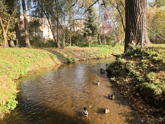 Mieszkanie na wynajem Poznań ul. Sucha - 18