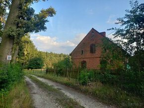 Siedlisko z dużą działką, pod hodowlę koni, psów.. - 1