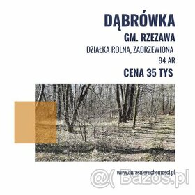 Dąbrówka działka rolna 94 ar - 1