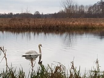 Ładny teren przy Kampinosie, blisko Warszawy