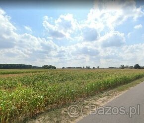 Działka budowlana o pow. 1982 m2, gm. Ceków Kol. - 1