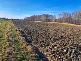 Działki budowlane w miejscowości Szynwałd