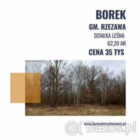 Borek. gm. Rzezawa działka leśna 62 ar