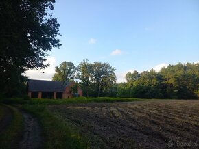 Siedlisko z dużą działką, pod hodowlę koni, psów.. - 2