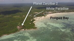 ZANZIBAR - dzialka budowlana na brzegu oceanu. PILNE - 2