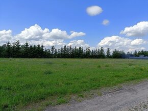 Działka budowlana o pow. 2500 m2, Piotrków Trybunalski - 2