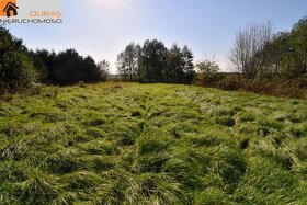 Rzezawa i Bochnia działka rolno-leśna 1,20 ha - 2