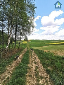 WYJĄTKOWA działka budowlana w Polance Wielkiej - 2