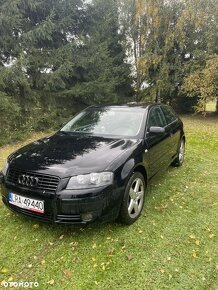 Audi A3 8P 1.6 FSI 2005r - 2