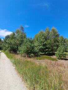 Działka bud.o pow.1266m2, Prażuchy Nowe, ATRAKCYJNA CENA - 2