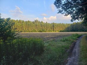 Siedlisko z dużą działką, pod hodowlę koni, psów.. - 3