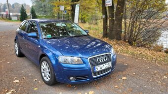 Audi A3 8P - 3