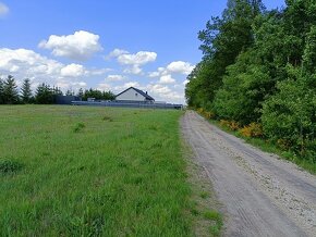 Działka budowlana o pow. 2500 m2, Piotrków Trybunalski - 3