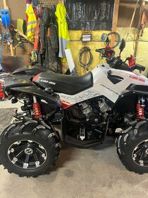 Can-Am Renegade 2018 - 3