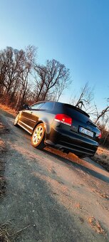 Audi S3 8p quattro 2.0 tfsi 2007r - 3