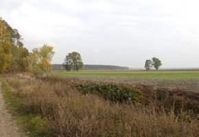 Działka budowlana 4200 m2, Zbiersk - 3