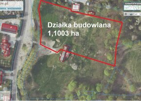 Dwie działki budowlane. Razem, osobno. Łącznie 2 ha. - 3