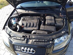 Audi a3 8p 1.9 TDI CARACTERE - 3