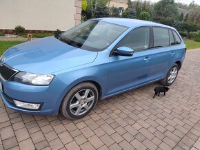 Skoda Rapid - 3