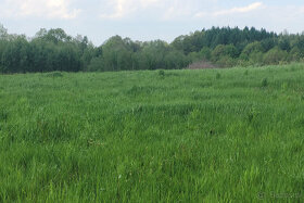 Działka budowlana w centrum Dominikowic (woj.małopolskie) - 3