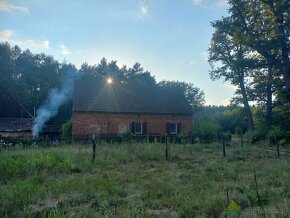 Siedlisko z dużą działką, pod hodowlę koni, psów.. - 4