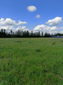 Działka budowlana o pow. 2500 m2, Piotrków Trybunalski - 4