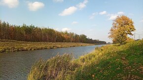 Warszawa Białołęka ul. Białołęcka działa budowlana 1000m2 - 4