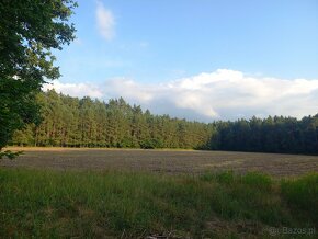 Siedlisko z dużą działką, pod hodowlę koni, psów.. - 5