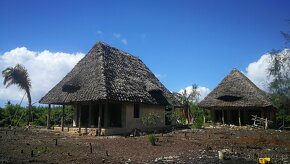 ZANZIBAR - dzialka budowlana na brzegu oceanu. PILNE - 5