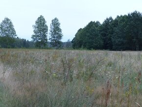 Działki siedliskowe pod Płockiem razem 8,85ha - 5